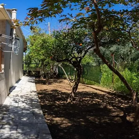 بيت للعطل House Beside Lemon Tree *